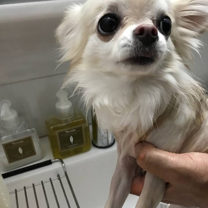 0cf72a0b edec 480b 91ba 056d5bfc2400