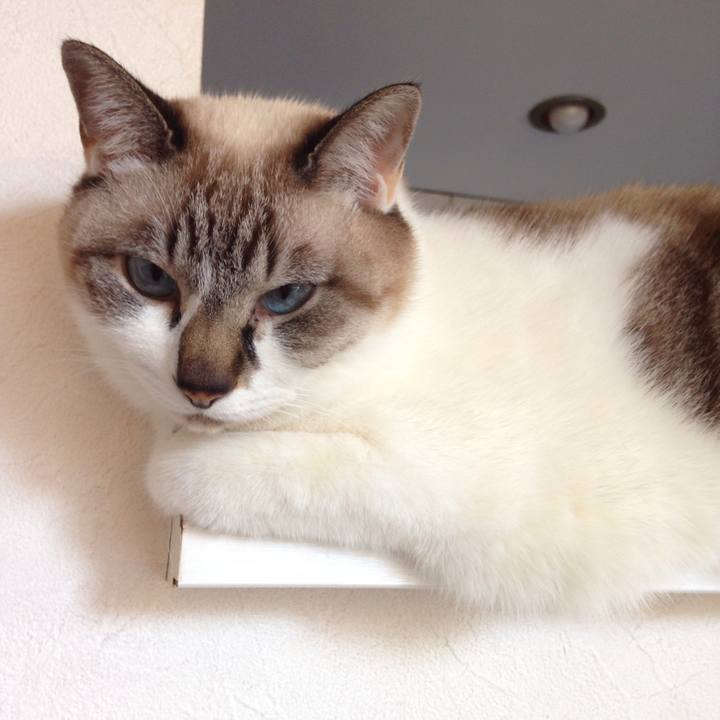 0cf74d65 d0c8 41ae ab76 8e8095f82cf7