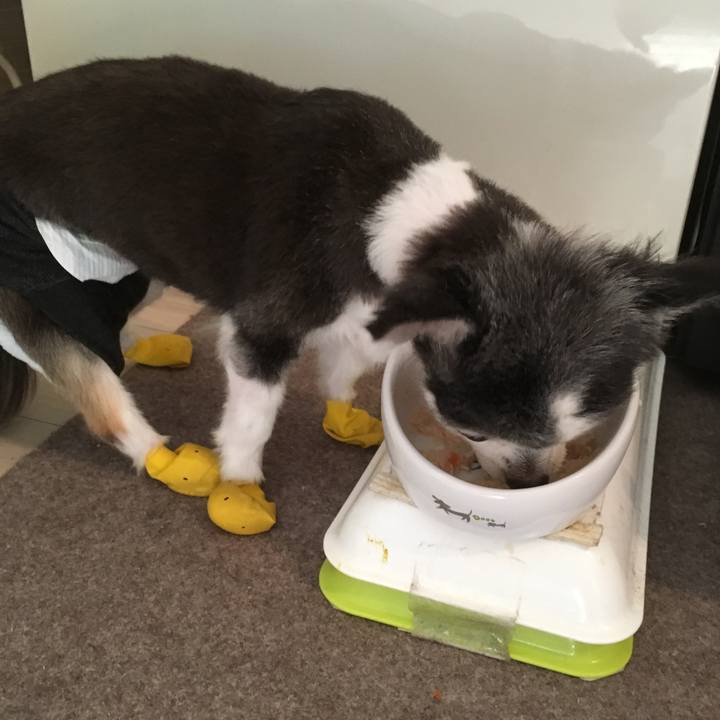 0cf8ddef de5d 4027 ae89 4fefbbb9d4d9