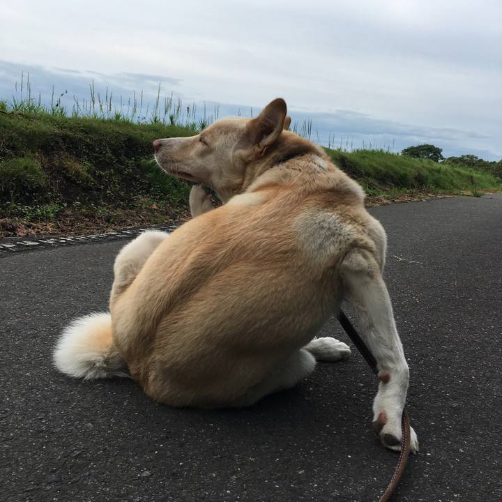 0cf90e26 41a0 4908 9cec a19865ea3aa7