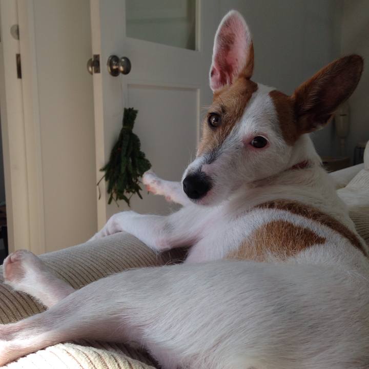 0cfa429b 3e25 4f88 9c78 a8369a7e3ee9