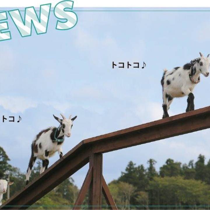 0cfa6aeb 44f0 4570 948a 712da959365b