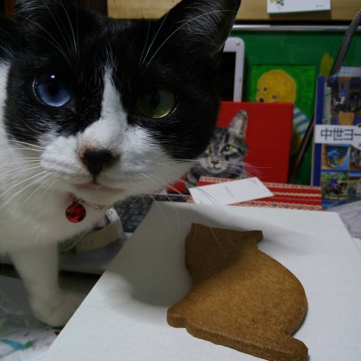 0cfac03b b778 4e08 89ca ddc41aa4e003