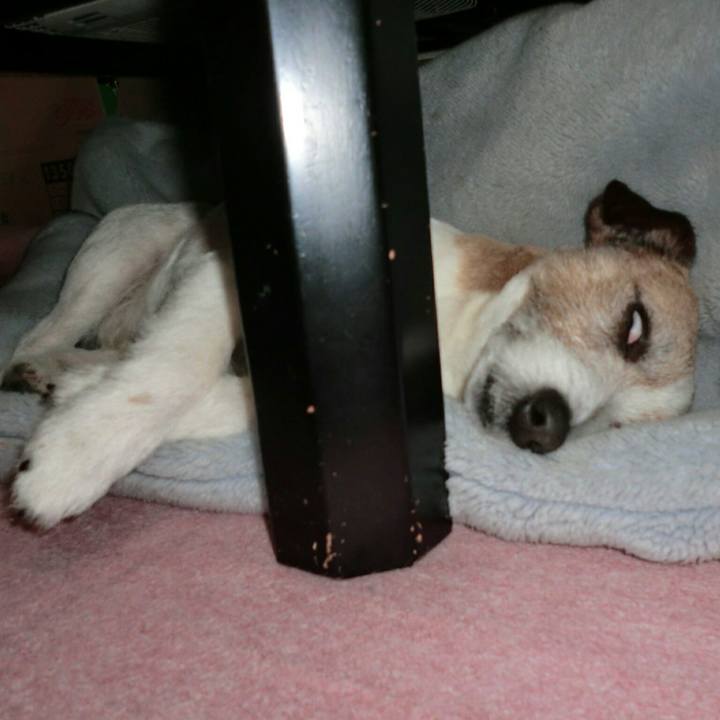 0cfadd2f 1db2 45b3 8de0 c3b44e14d990