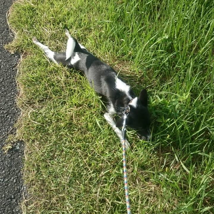 0cfae05e f187 462c 8672 2ad3824c1903