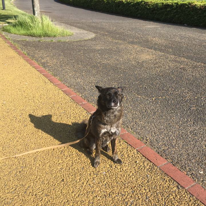 0cfb909a 3ff5 424d 9bd4 b6c0dc6a3bb4