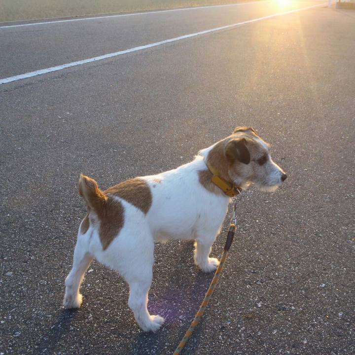 0cfbd917 79af 44d5 83fe 6c853a1fe6b1