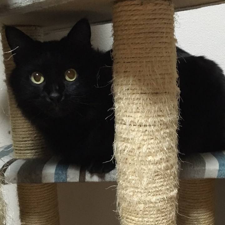 0cfd888c b42a 4000 b76c 9caacea61b5d