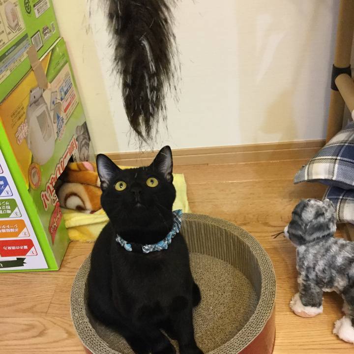 0cfe1ecb c9b3 4863 8739 27c9419d3a8e