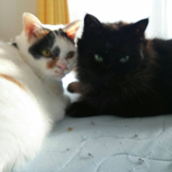 0cfe5976 3f1f 43eb a418 78b14260ef84