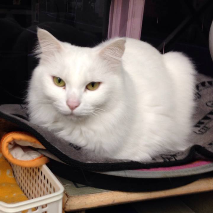 0cff9b2b 738d 40b3 b207 af5546f1724e