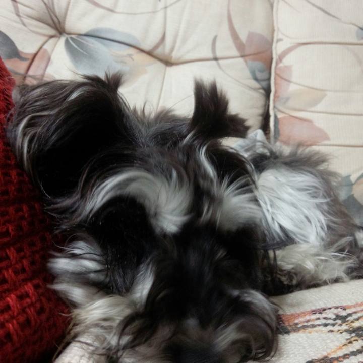 0cff9c17 f91c 4006 a52f 89856a8ea2ec