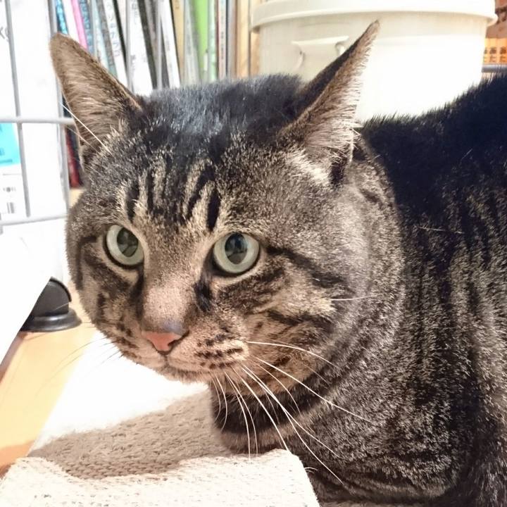 0cffecae 41cb 4d38 9037 3948709fd6c5