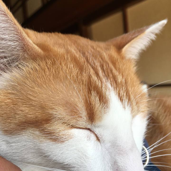 0d002954 a486 467d a5a2 3ec0d806c5ea