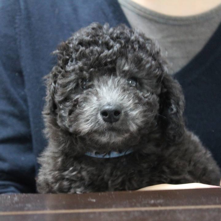 0d00299b 5d49 4534 838e 700d8bf1f0e2