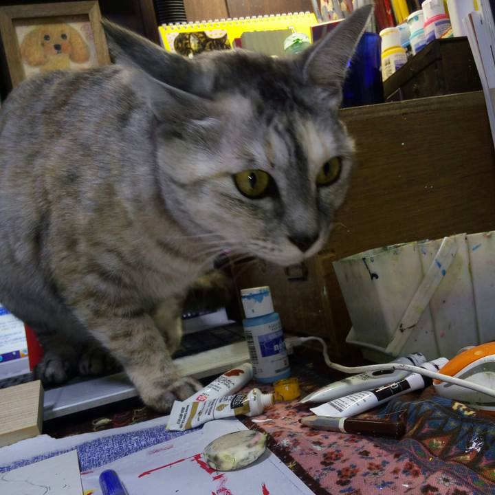 0d003bf7 d16f 42a4 8e24 adf5a495f0e4