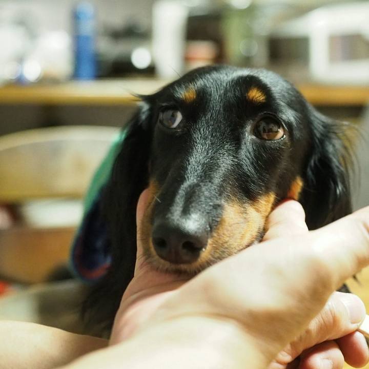 0d005081 605e 4ee0 8145 51a3794d734b