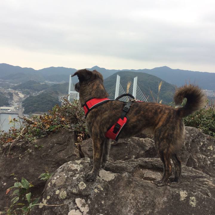 0d0114b6 e194 41ac a399 079c45bc70e4