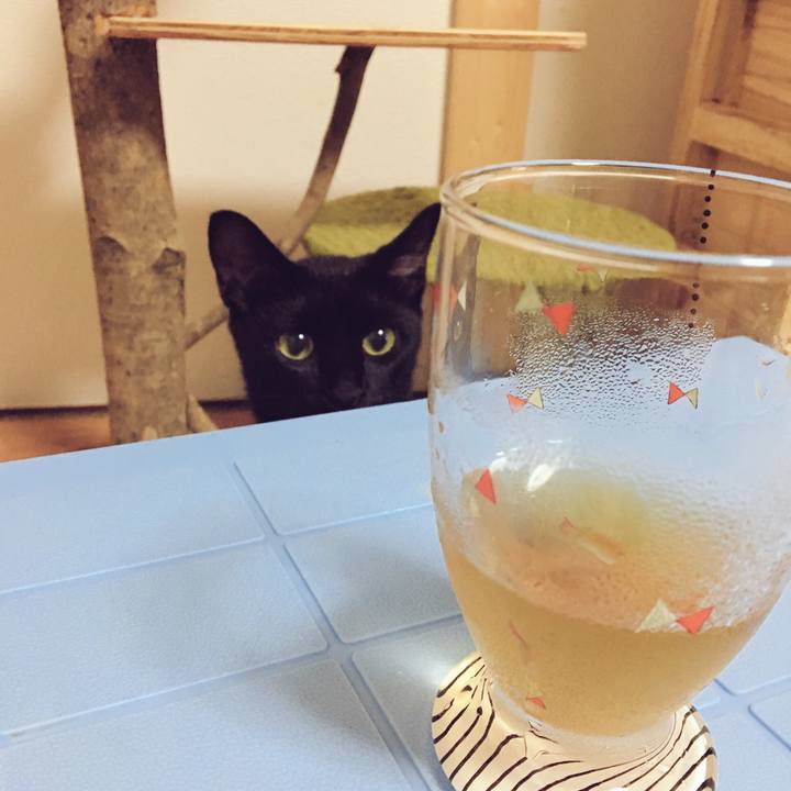 0d015ee4 f1f8 495f b1af 2c68dd4b6e67