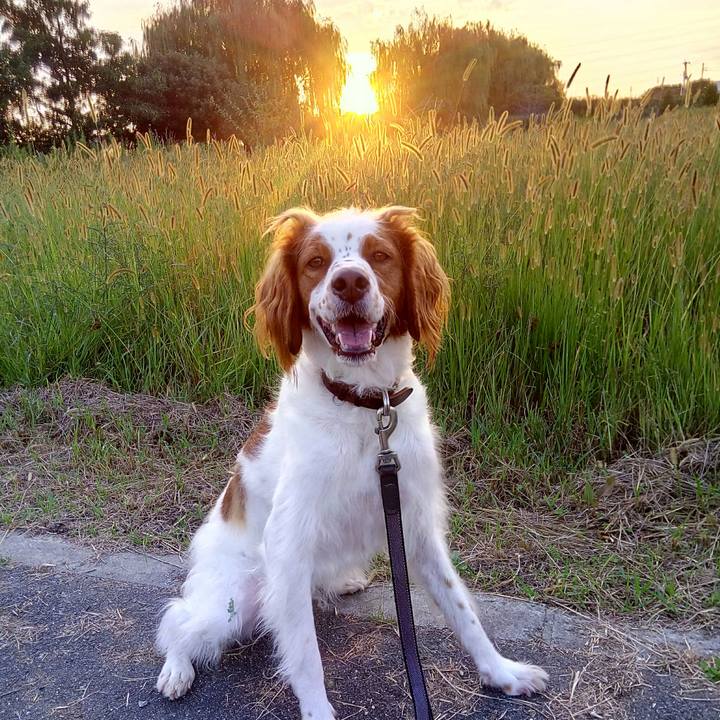 0d01997c 2257 41ba b362 30bb10b3471f