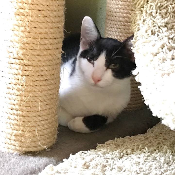 0d01a41a 5288 4283 92ed af8985c5695a