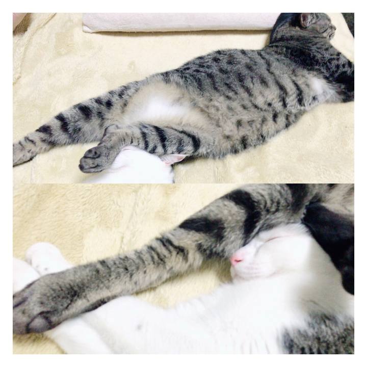 0d02138a 695f 43e8 8b72 306e481b4981