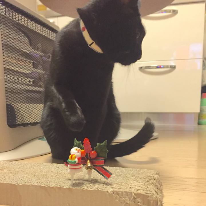 0d029e45 b877 4a36 a3e7 79d2caf5850f