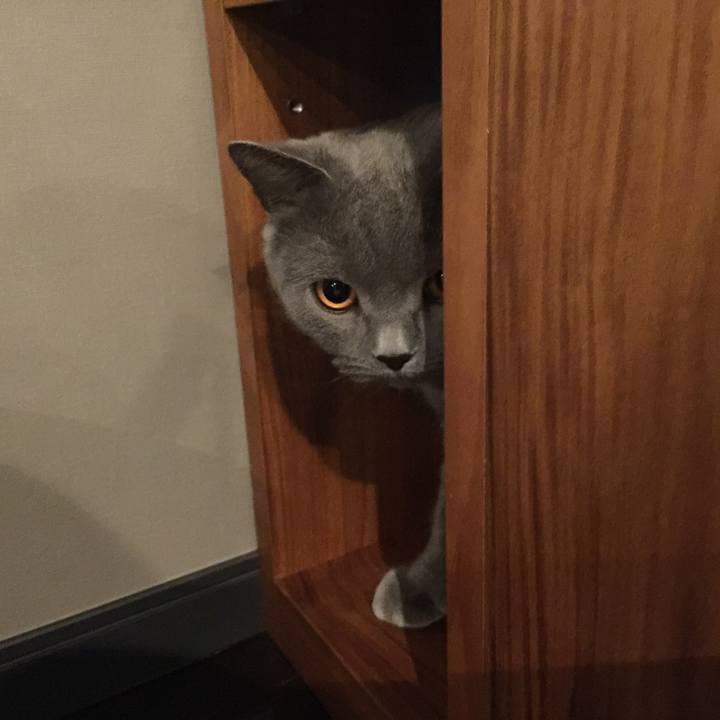 0d0435b5 210a 443e 8e23 e5ad4603a0de