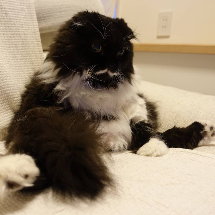 0d049615 ce15 43fb 8c66 82efac32054b