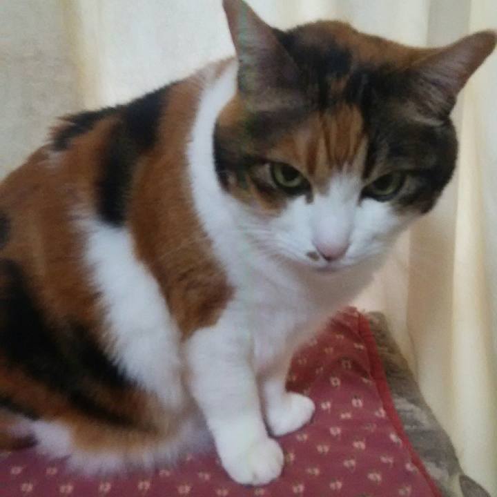 0d04e4b8 3871 4d4a a9b8 585b55c6a8b2