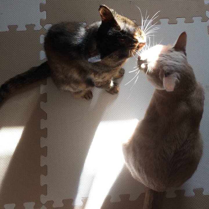 0d0502c0 58d8 4746 b3d9 ca36598b3ddd