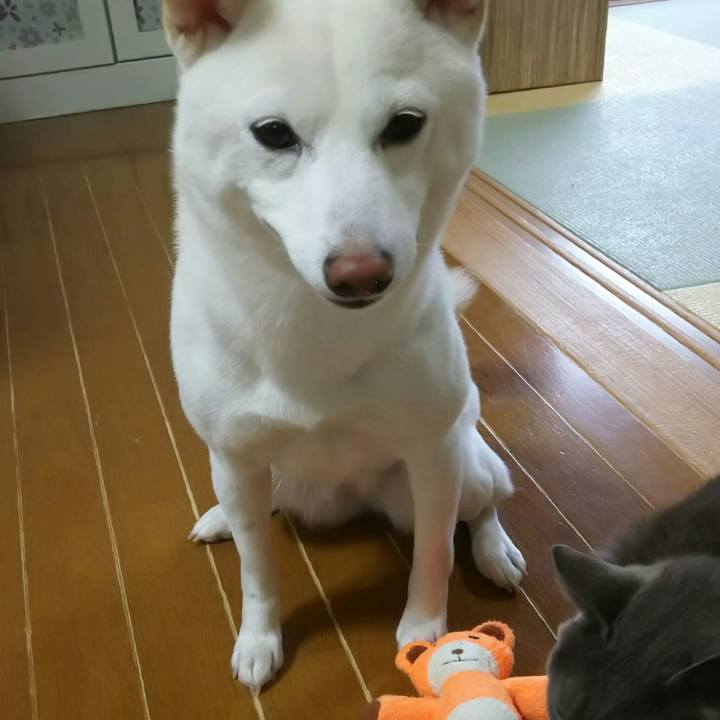 0d05275f e397 46ef a061 370f9673f5ad