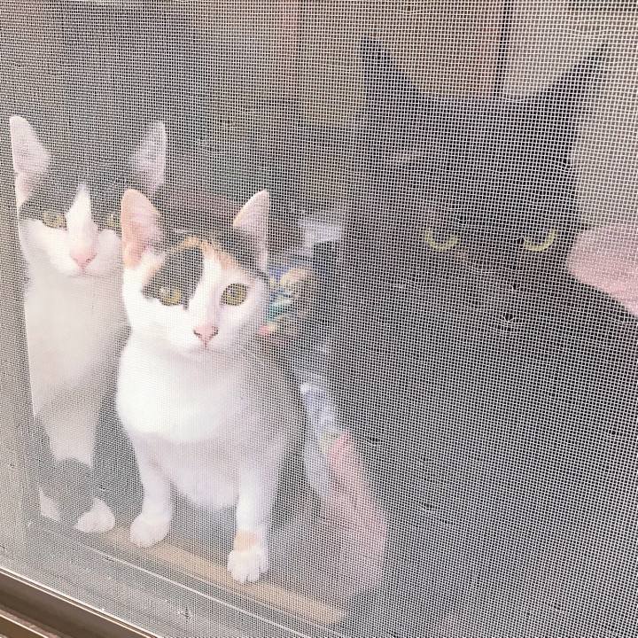 0d0551be 1606 45e5 a1d8 17b0df03ff50