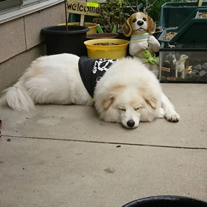 0d0589f5 87de 4334 ad73 ceb3bab3cbd7