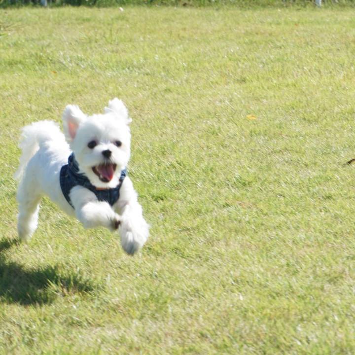 0d058f3c e43d 442b b161 71a22bae360e