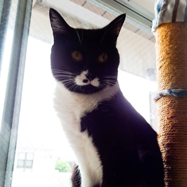 0d065db8 6e21 494c 8bc7 9c02a82e596a