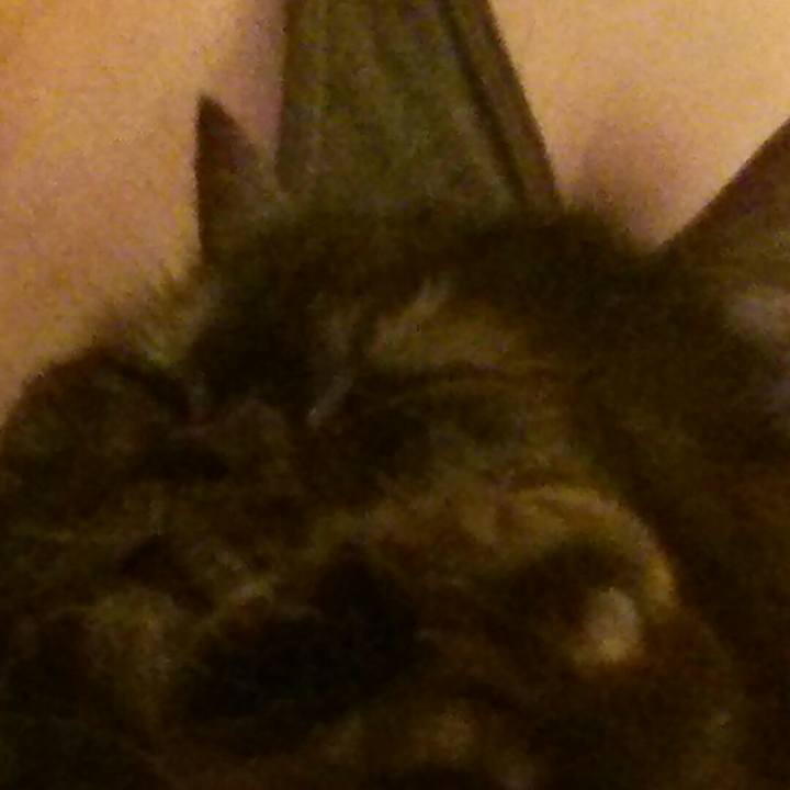 0d067f22 31a1 40d6 9524 9b8ce1575c41