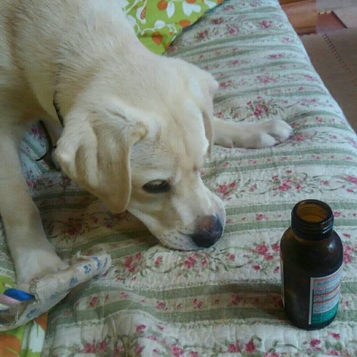 0d06add5 6ff7 454c 860f d42183d91c75