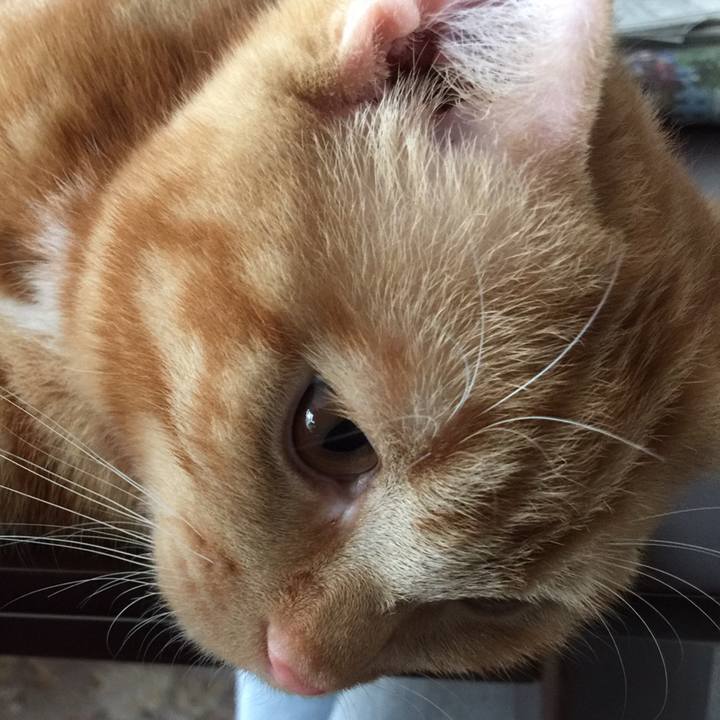 0d070656 ca19 4d59 9e18 18b1955d61d6