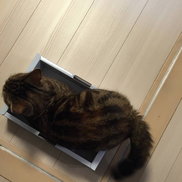 0d070e7a 1250 4fe2 b8d7 a27dff3b09a9