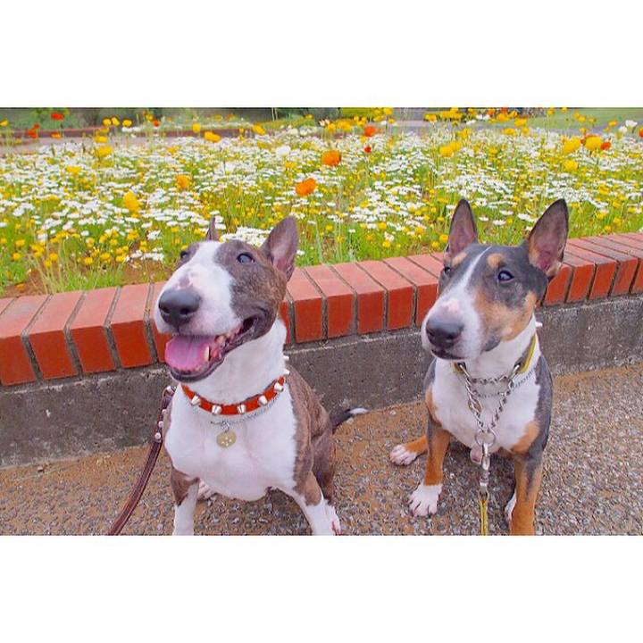 0d0719a1 97d4 4c16 9239 e3a0acdace27