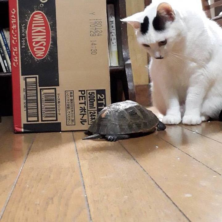 0d073afd 82d9 44e2 816f 9acfb836cfce