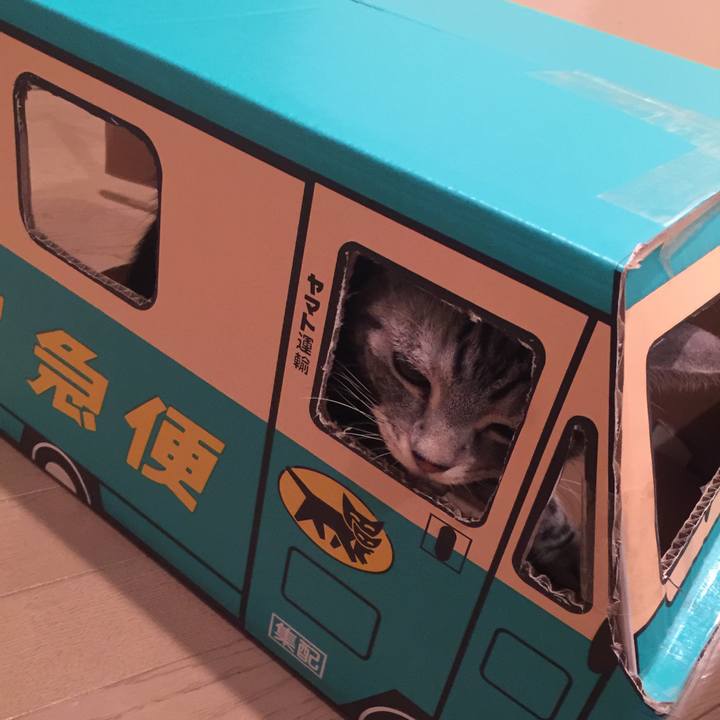 0d07655c 898c 4ca4 907d e91f03e8e1bd