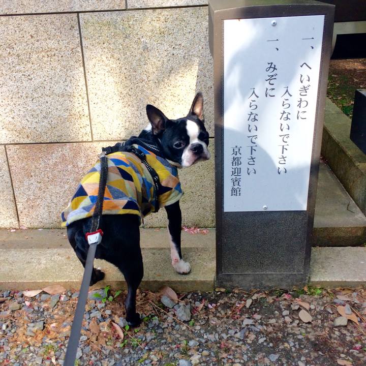 0d084e6f 9402 4749 ad70 b03d8b2a0947