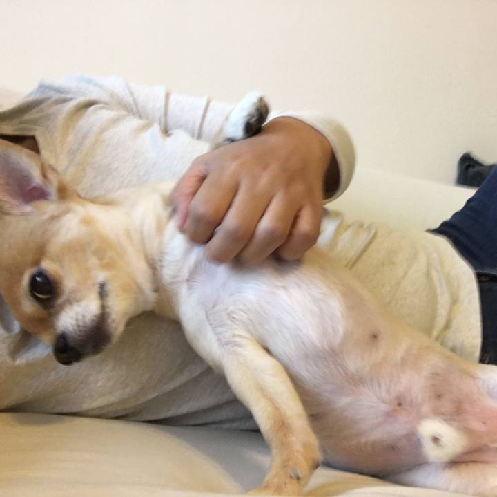 0d096738 cb99 42a6 a18c cede1b0a1a6c