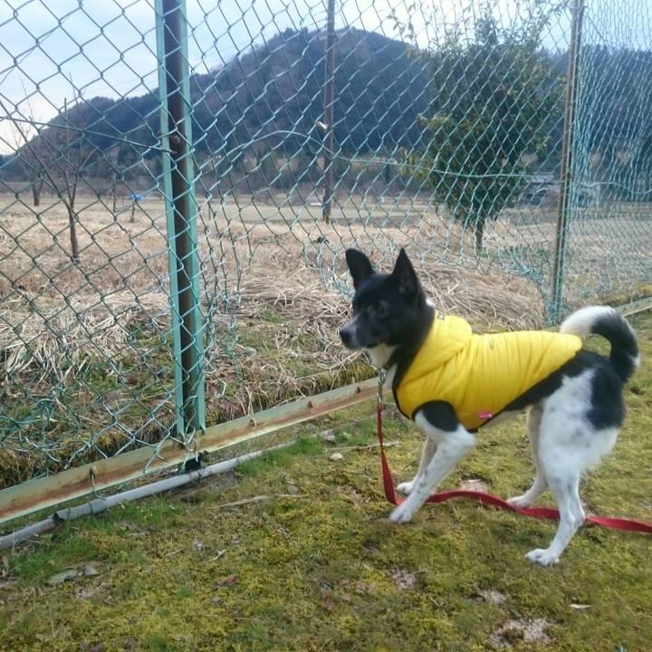 0d0b1d82 cb92 43f7 8026 843ffced480b