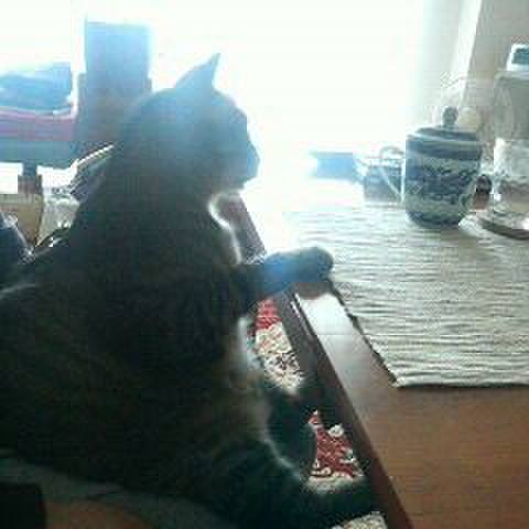 0d0b3c14 1a1b 4a35 a4ee 55abdf30630b