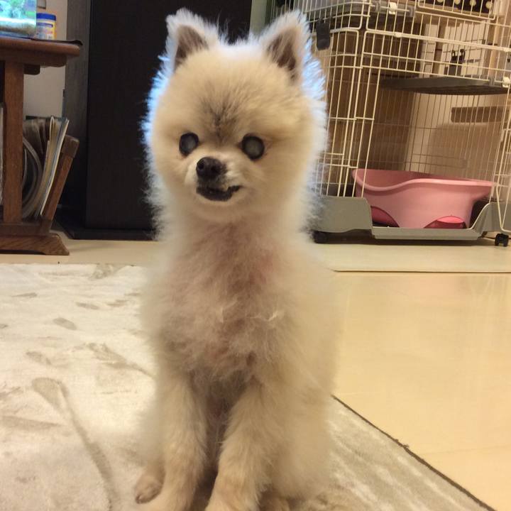 0d0b473f d7f6 42ba b124 54ff958b550d