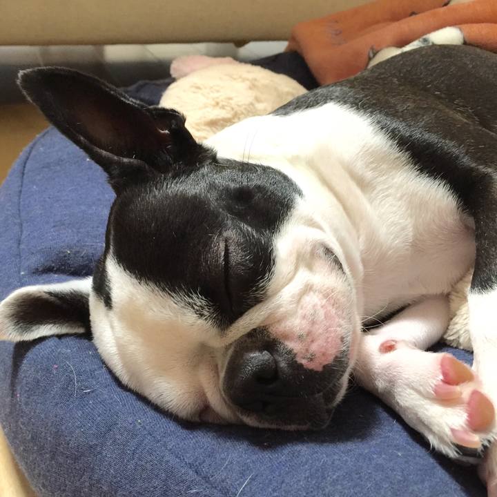 0d0b64e7 b9c2 4cc8 99c4 01c08ad67880