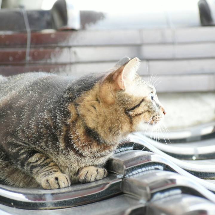 0d0b893b 13a0 435c b21d b27c934fd4b7